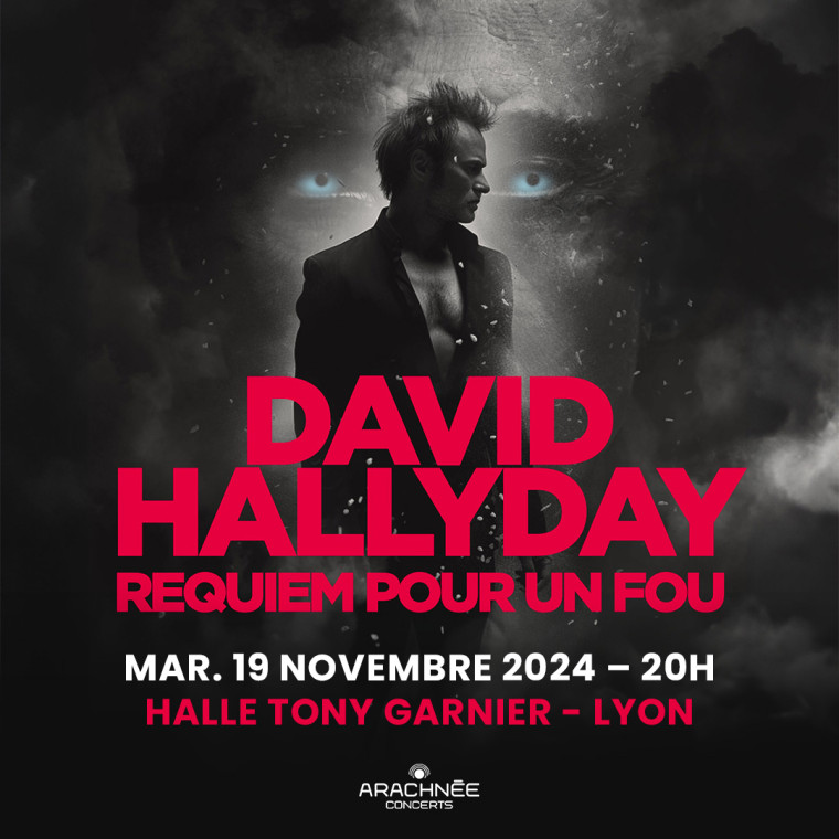 DAVID HALLYDAY - REQUIEM POUR UN FOU
